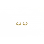 Silver earring EN003G