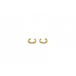 Silver earring EN003G