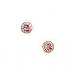 Silver earring Exis E32129PIRG