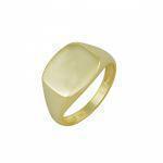 Silver ring RN012G
